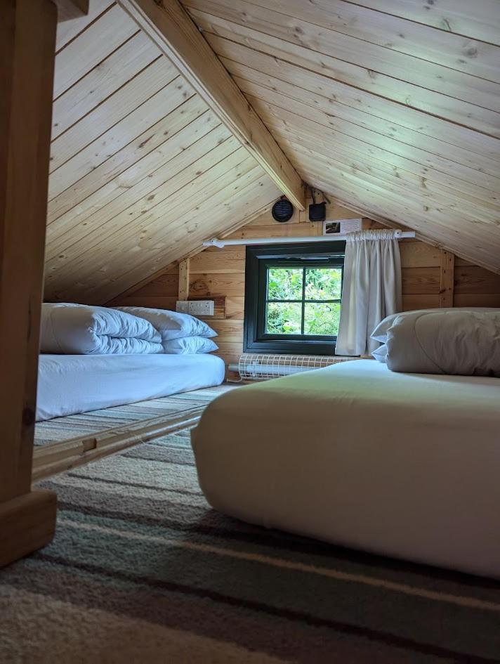 'Monktonmead Lodge' In Secluded Setting, With Private Indoor Pool. رايد المظهر الخارجي الصورة