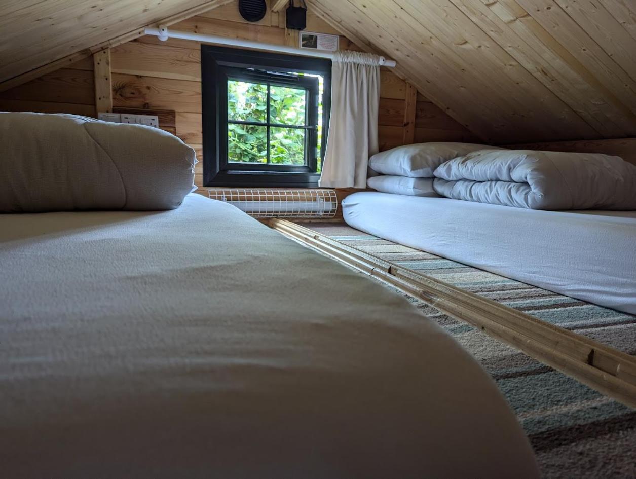 'Monktonmead Lodge' In Secluded Setting, With Private Indoor Pool. رايد المظهر الخارجي الصورة